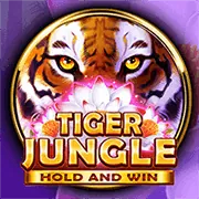 Các loại Slot Jackpot tại Open88